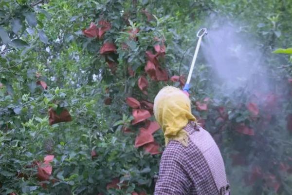 噻唑膦是杀虫剂吗,可防治根结线虫、胞囊线虫等害虫