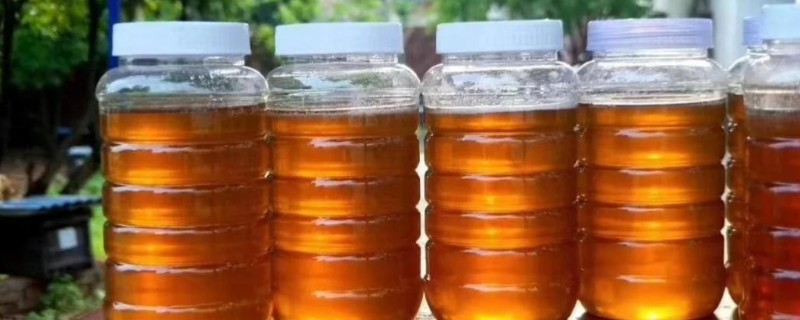 龙眼蜜和蜂蜜的区别，龙眼蜜是蜜蜂采集龙眼花蜜酿制而成