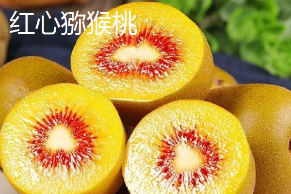 黄心猕猴桃的常见品种,有金艳、金桃等