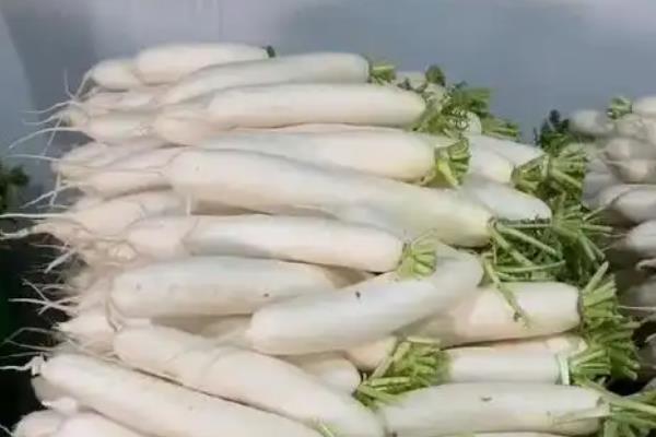 中国哪里的萝卜出名，贵州地区的萝卜出名