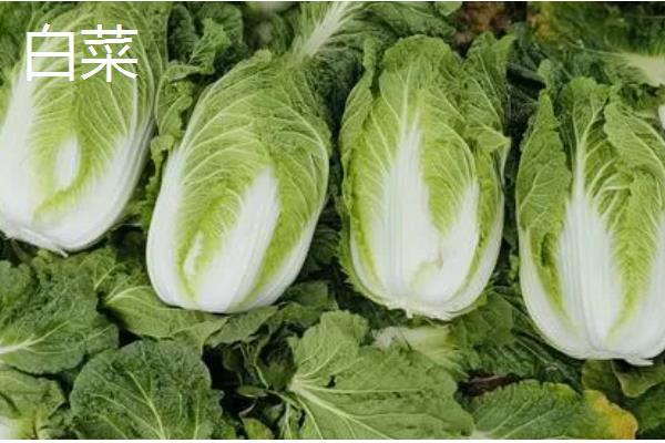 四月份适合种哪种农作物，可以种丝瓜、白菜等