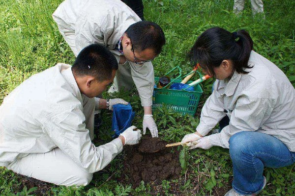 土壤检测的项目有哪些,通常包含布点采样、样品制备等