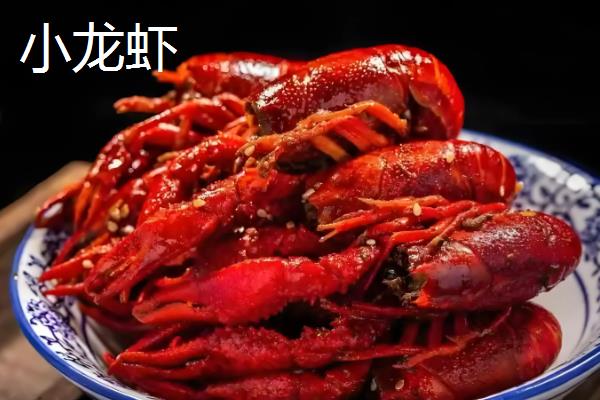红螯螯虾的产地,原产于澳大利亚