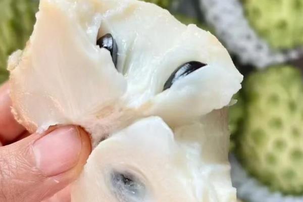农村有潜力的种植项目,以下8个品种值得推荐