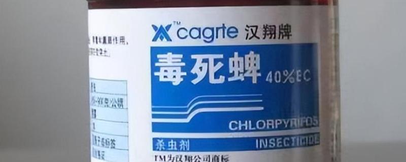 毒死蜱是哪类农药，属于广谱的有机磷杀虫剂