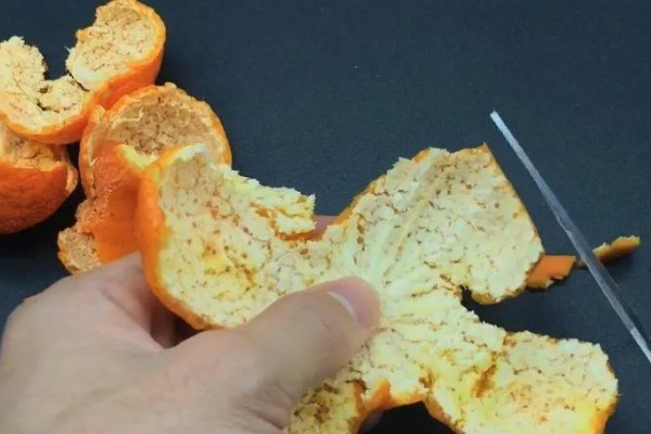 蚂蚁的危害，会损坏设施和传播疾病