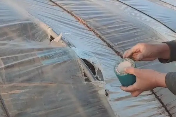 怎么延长农膜的使用寿命，出现破损要及时修补