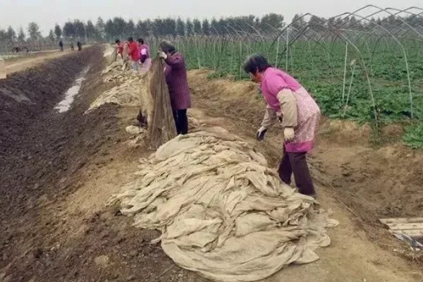 怎么延长农膜的使用寿命，出现破损要及时修补