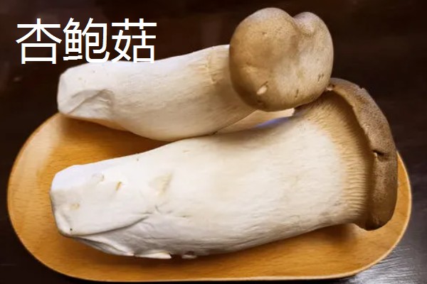 白灵菇与杏鲍菇的区别，外形和味道均不同