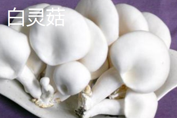 白灵菇与杏鲍菇的区别，外形和味道均不同