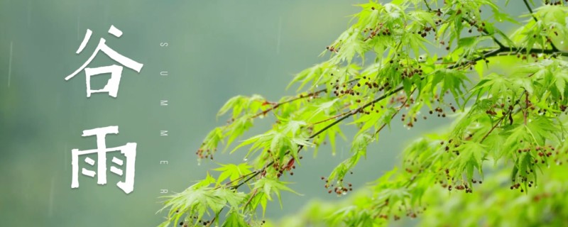 谷雨的习俗，有赏牡丹花、走谷雨等