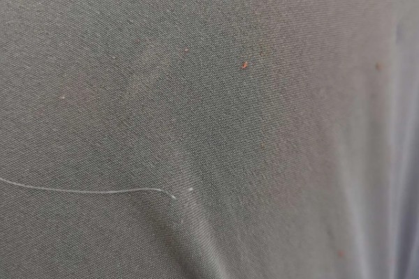 子线切线的意思,指的就是子线断掉的情况