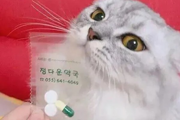 给猫咪驱虫要注意什么,第一次服用驱虫药要满八周龄