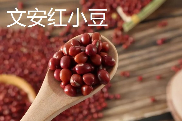 河北文安县的特产，有地梨、文安红小豆等