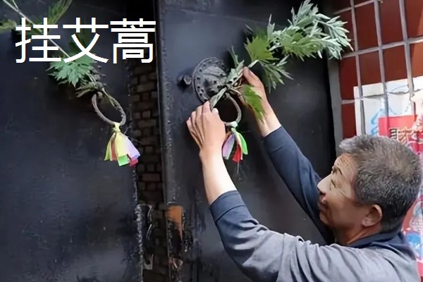 端午节的习俗，常见挂艾蒿、包粽子等