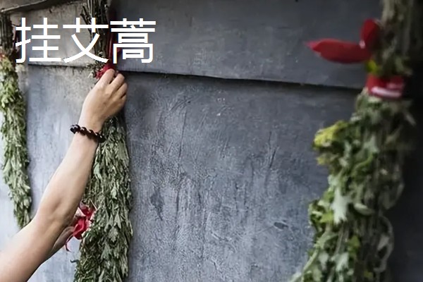 端午节的习俗，常见挂艾蒿、包粽子等