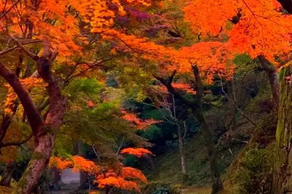 寒露过后天气还热不热，天气不会太热