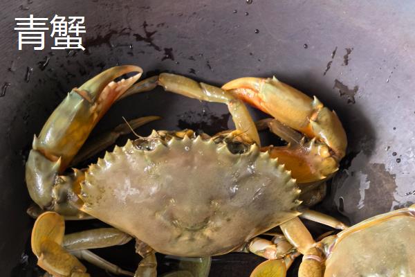 青蟹和梭子蟹的区别,前者是青蟹属、后者是梭子蟹属