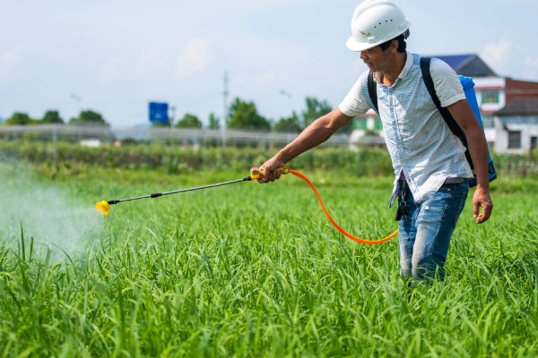 农药的使用相关知识,以下16点要注意