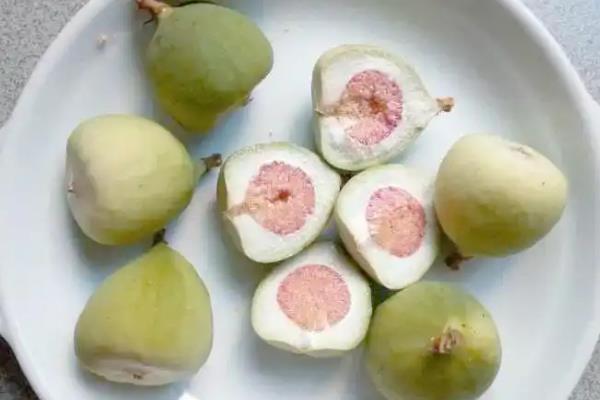 凉粉草的种类,以臭黄荆、木莲果等品种为主
