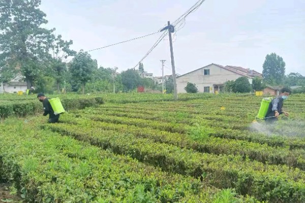 农药的使用相关知识,以下16点要注意