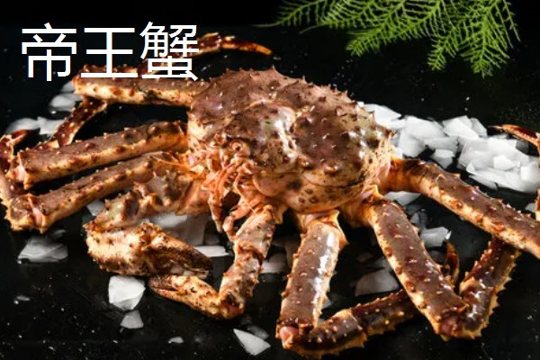 帝王蟹和皇帝蟹有哪些区别,前者是石蟹科、后者是扇蟹科