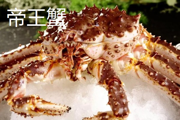 帝王蟹和皇帝蟹有哪些区别,前者是石蟹科、后者是扇蟹科
