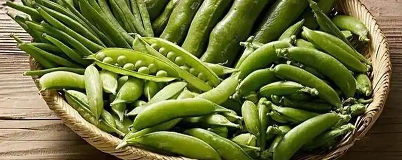 常见的豆类食物，包括黄豆、绿豆、蚕豆等品种