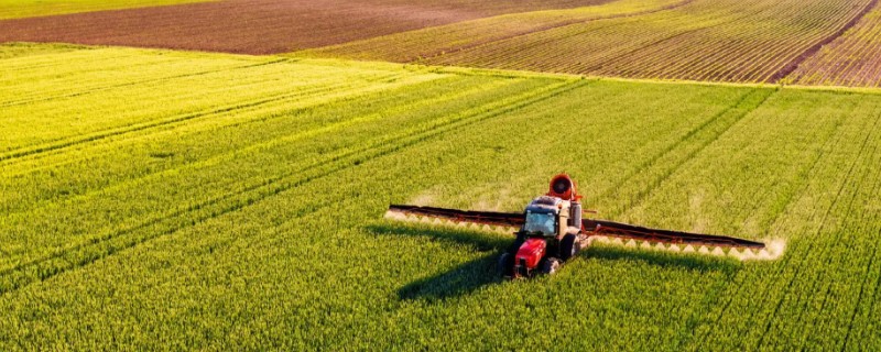 我国农业的主产区，粮食主产区是河南、河北、山东