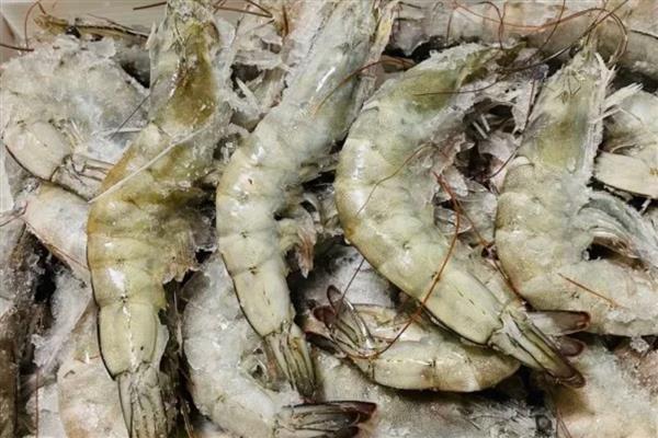 白虾的简介，是长臂虾科、白虾属甲壳动物的统称
