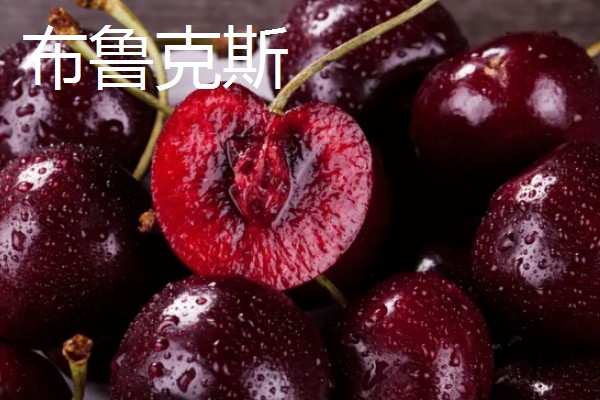 中国车厘子的主产区,有山东、辽宁、河北等地