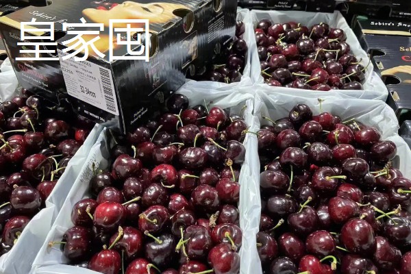 中国车厘子的主产区,有山东、辽宁、河北等地
