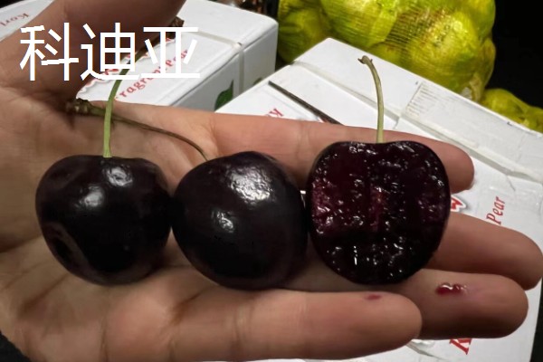 中国车厘子的主产区,有山东、辽宁、河北等地