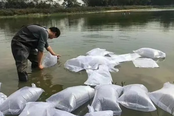 黄颡鱼的养殖技术，最适生存水温22-28℃