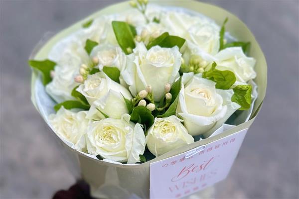 白玫瑰的花语是什么，寓意纯洁天真、浪漫美好等