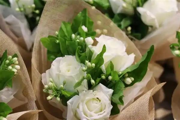 白玫瑰的花语是什么，寓意纯洁天真、浪漫美好等