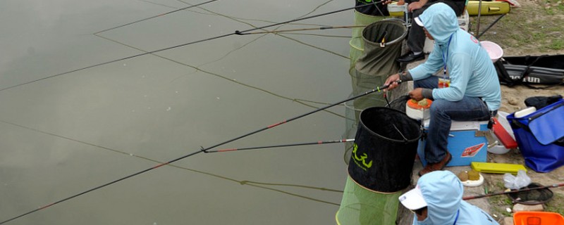 黑坑垂钓用轻麸还是雪花粉，根据水情、鱼情、天气等因素做选择