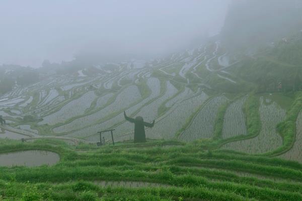 谷雨的习俗，有赏牡丹花、走谷雨等