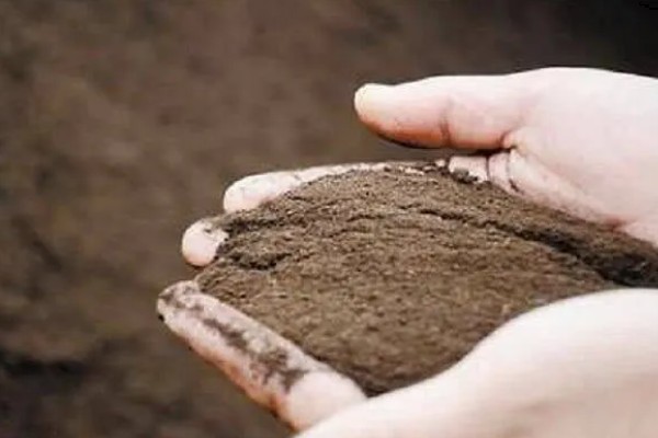 壤土砂土粘土有什么区别，壤土富含养分、砂土通气透水、粘土保水保肥