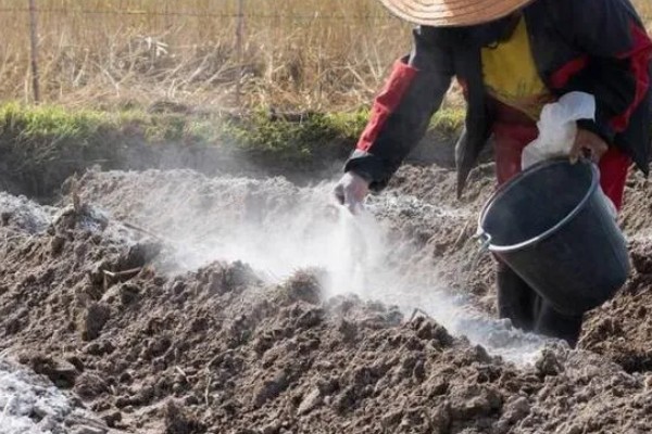 壤土砂土粘土有什么区别，壤土富含养分、砂土通气透水、粘土保水保肥