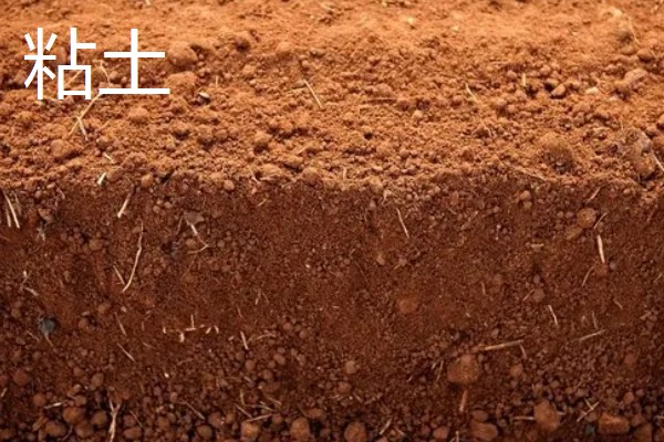 壤土砂土粘土有什么区别，壤土富含养分、砂土通气透水、粘土保水保肥