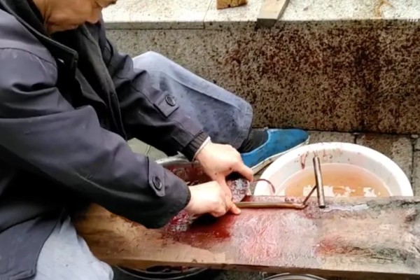 黄鳝的价格，一斤需要33-40元左右