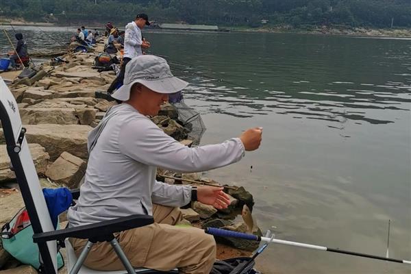 并继竿的竿型特点，最适合钓鲫鱼等小型鱼类