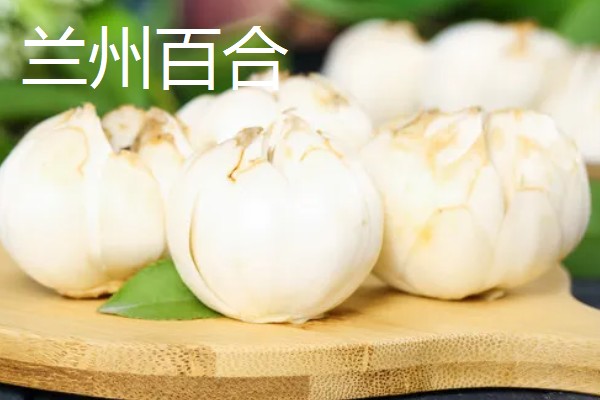 哪些百合能食用，主要有兰州百合、卷丹百合等4个品种