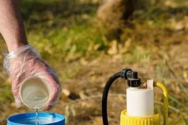 使用阿维菌素的注意事项,适合在傍晚时喷药