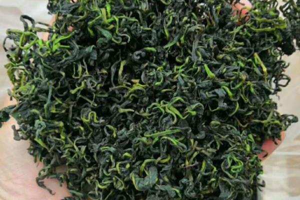 制作蒲公英茶的方法，洗净杀青后再炒制
