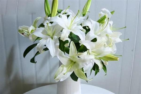 19朵百合花的含义,代表一生守候