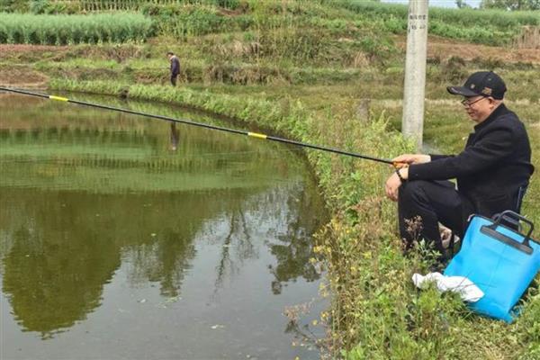 4号伊势尼钩能不能钓鲫鱼,可垂钓大型鲫鱼和小型鲤鱼、草鱼