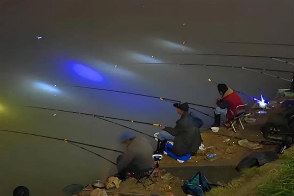 4号伊势尼钩能不能钓鲫鱼,可垂钓大型鲫鱼和小型鲤鱼、草鱼