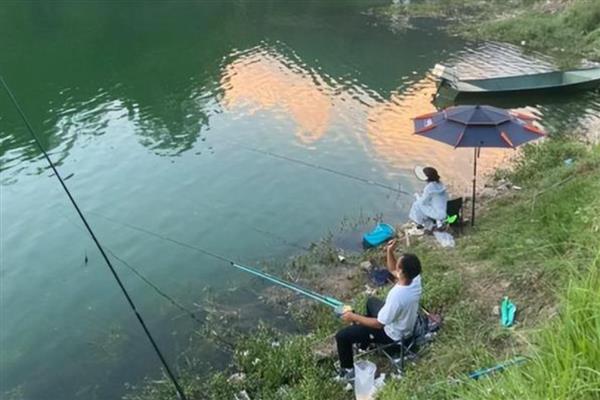 4号伊势尼钩能不能钓鲫鱼,可垂钓大型鲫鱼和小型鲤鱼、草鱼